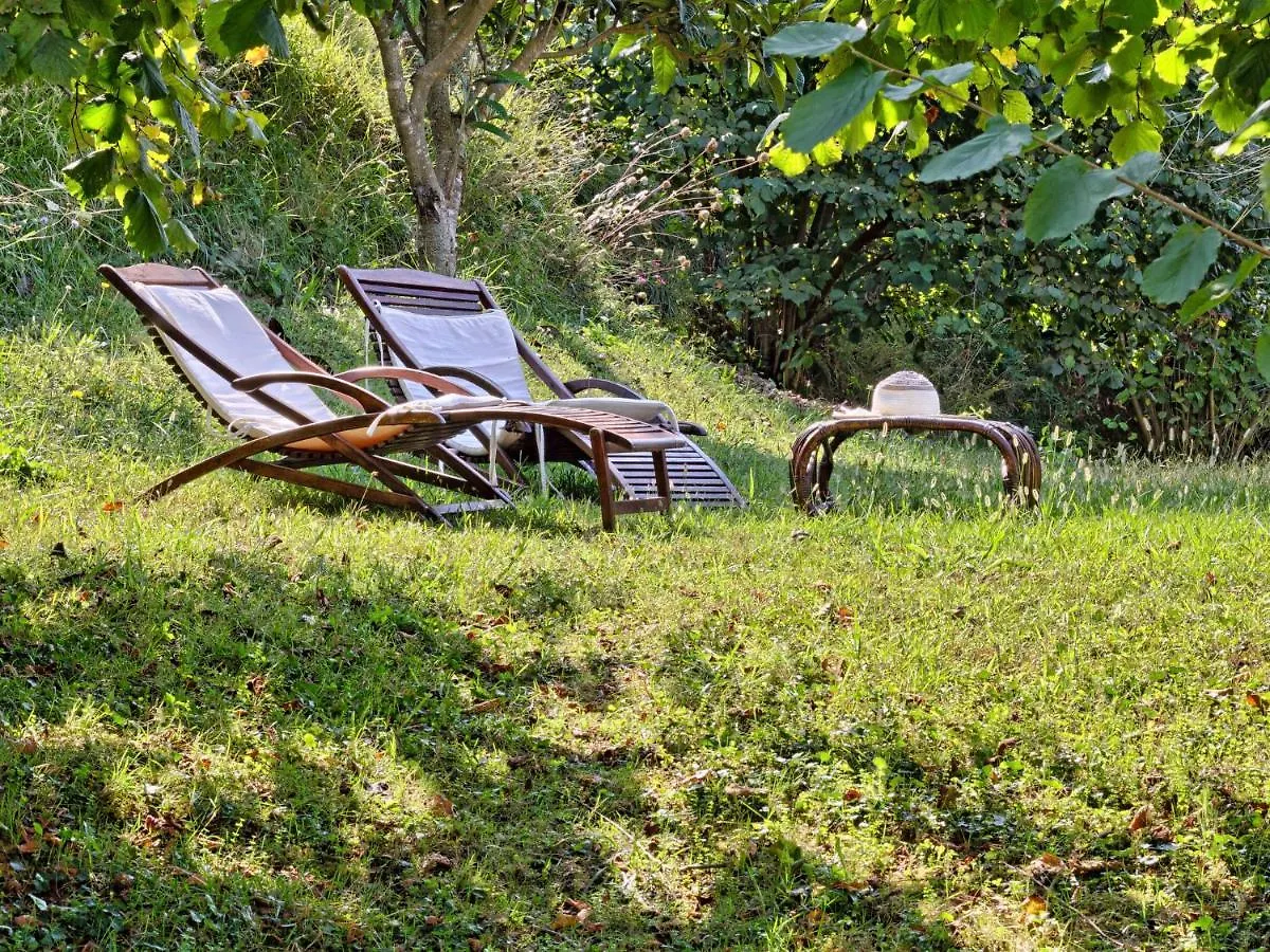 Holiday Home Gli Antichi By Interhome  Camaiore